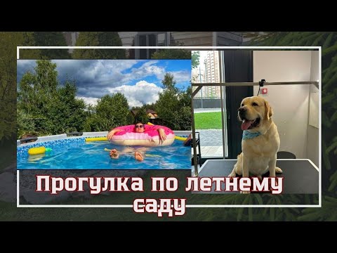 Видео: ВЛОГ: КРУПНОЛИСТНАЯ ГОРТЕНЗИЯ 🌸БАССЕЙН💦, РОЗЫ🌹/ЛУЦИЙ ПЕРВЫЙ РАЗ НА ГРУМИНГЕ