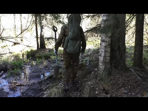 Видео: ЧЕГО БОЯТСЯ МЕДВЕДИ? НЕВЕРОЯТНОЕ МЕСТО! КАКОЙ-ТО ЭЛЬДОРАДО В ЛЕСУ!