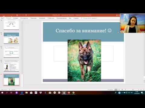 Видео: Бесплатный вебинар от ФанДогс "Основы дрессировки"