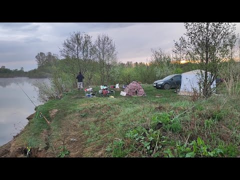 Видео: Первая Рыбалка С Ночевкой На Иже В Палатках.Клюет все!Судаки на Джиг.Берши на Тюльку.Лещ на Донки!