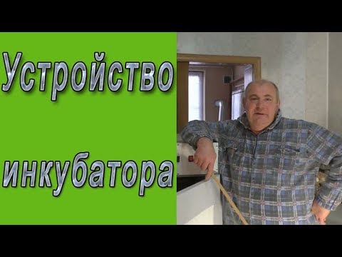 Видео: Устройство инкубатора.  Размеры и принцип работы инкубатора