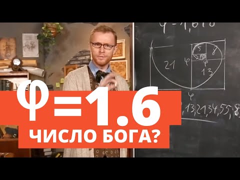 Видео: Золота пропорція: від капусти до галактики | Філософський камінь