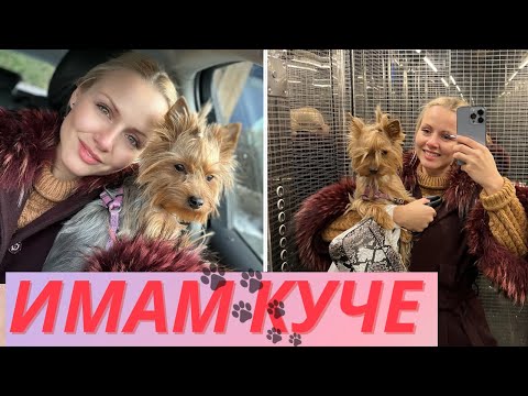 Видео: ЕДИН ДЕН С КУЧЕ | Влог