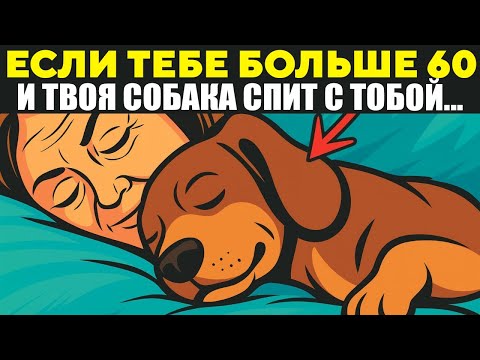 Видео: Если Вам БОЛЬШЕ 60 и Ваша Собака СПИТ С ВАМИ, посмотри это!