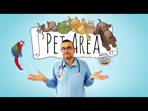 Видео: PET LOVERS - Вера Дограмаджиева.  Време за груминг!