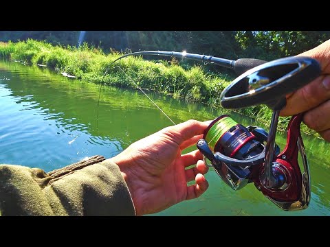 Видео: ТЯНУТ КАК ЗВЕРИ! УДАЧНО ПОПАЛ НА ВЫХОД КРУПНЯКА! Рыбалка на спиннинг 2024.