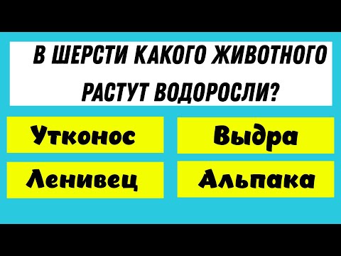 Видео: Ваши знания покажут, являетесь ли вы гением. Тест на эрудицию!