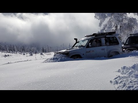 Видео: 05.10.2025 Риддер. Проходной белок. Зима близко #покатушки #automobile #казахстан #offroad 
