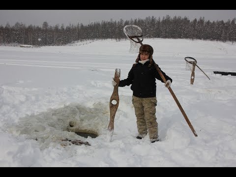 Видео: Куйуур это древняя традиционная рыбалка якутов на карася! Якутия Yakutia