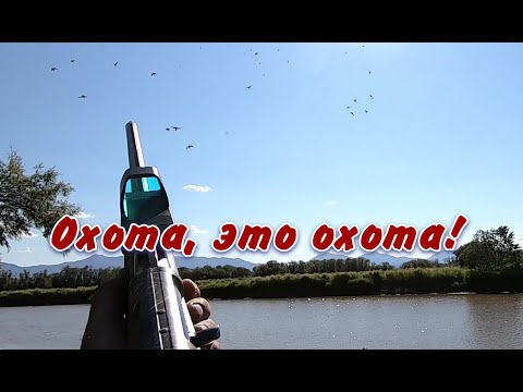 Видео: Камчатка!  Охота, как она есть! (полная версия)