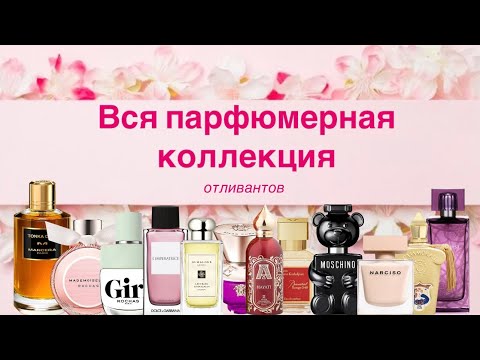 Видео: Вся парфюмерная коллекция отливантов.🤗 Сотни ароматов! 😱 Хранение и сортировка. 🤍
