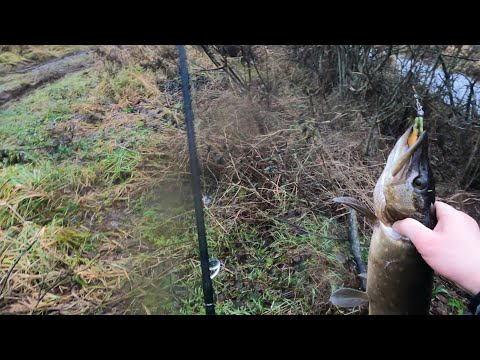 Видео: Паша каналы 1 12 24 Мерзкая погода, закрыл сезон (возможно😁)