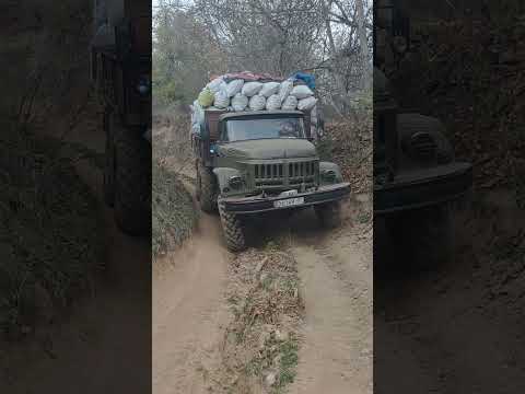 Видео: кызыл-ункур 200кап жангак жуктоп 2023