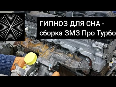 Видео: Сборка ZMZ Pro Turbo Stage 2.0 из ЗМЗ 409. Гипноз для засыпания