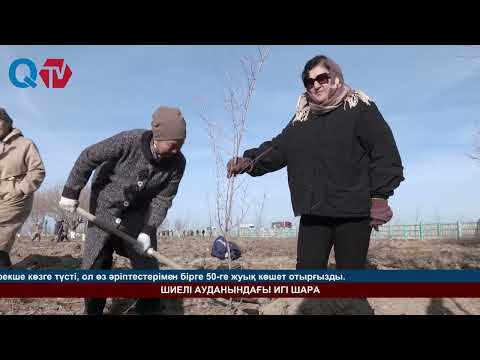 Видео: ШИЕЛІ АУДАНЫНДАҒЫ ИГІ ШАРА