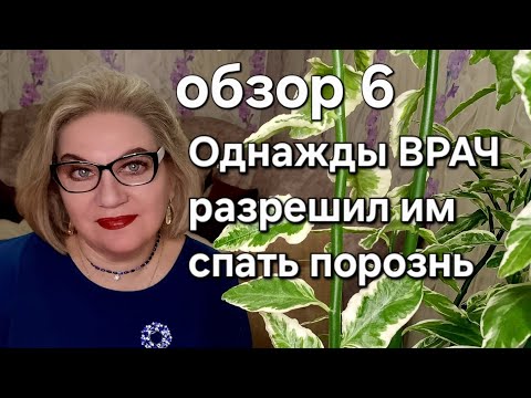 Видео: Однажды ВРАЧ разрешил им спать порознь...