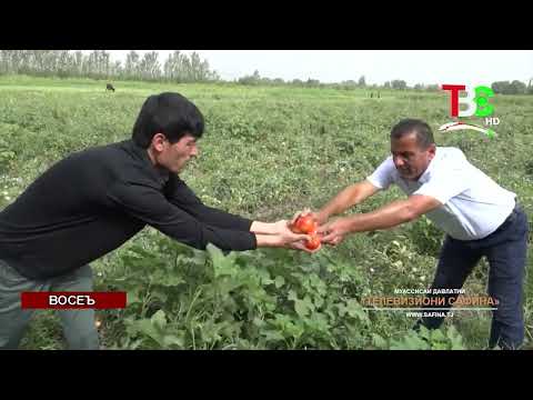 Видео: Савдои сарироҳӣ | Восеъ