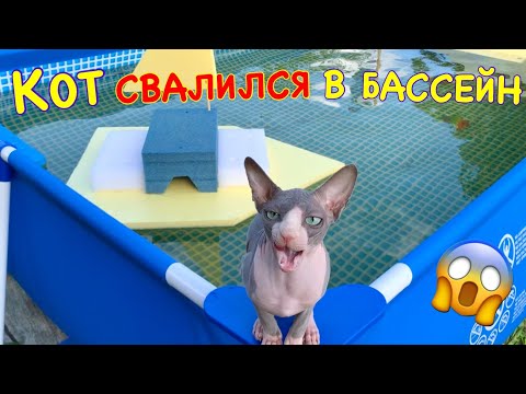 Видео: Переделали Бассейн в Аквапарк с Водными Горками для Кота 😻 Kot Million