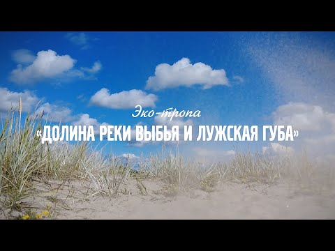 Видео: Эко-тропа «Долина реки Выбья и Лужская губа»