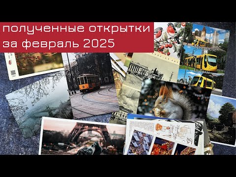 Видео: Обзор входящих открыток за февраль 2025