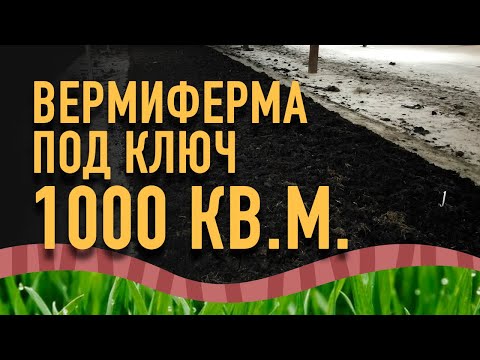 Видео: Вермиферма 1000 кв.м. Промышленное производство биогумуса, вермикомпоста. Обзор вермифермы.