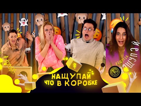 Видео: Нащупай, что в коробке | Бобровникова, Сень, Габисова и Манагарова