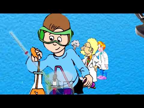 Видео: 54-сабак