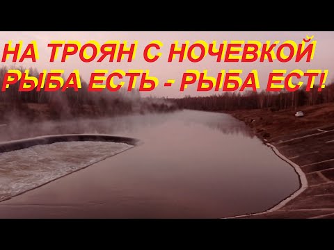 Видео: Трояновский сброс - РЫБА ЕСТЬ, РЫБА ЕСТ!!!