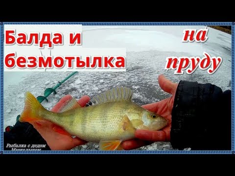 Видео: Рыбалка на балду и безмотылку на пруду. Зимняя рыбалка в январе 2020.