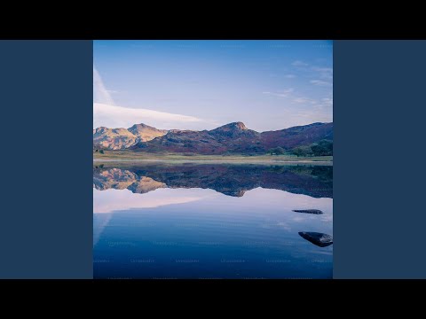 Видео: Все для тебя