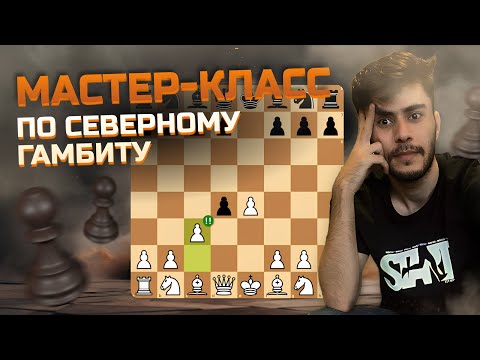 Видео: Мастеркласс по Cеверному Гамбиту lichess.org