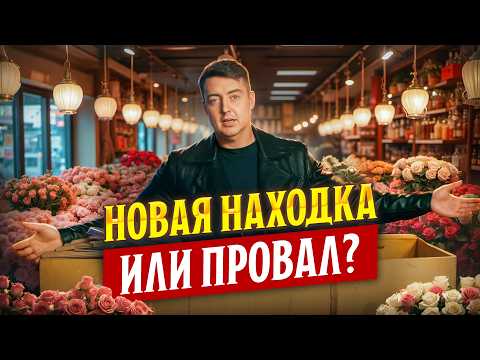 Видео: Сорт, которого не хватало на рынке: Mandala от плантации Sierra Flora, Кения | Цветы оптом