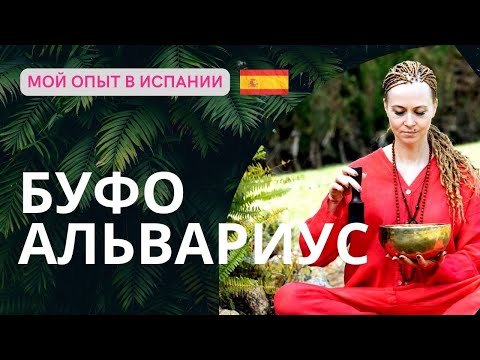 Видео: Церемония Буфо Альвариус | Мой опыт в Испании | Alla Zelcer