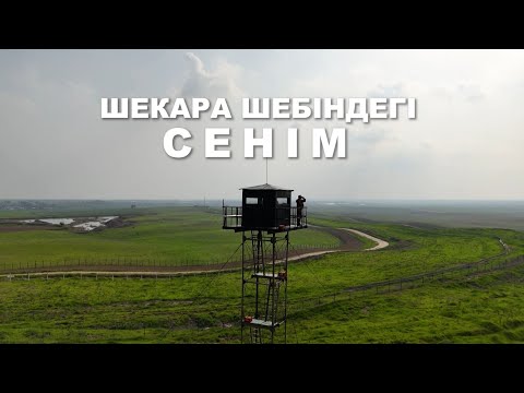 Видео: «Шекара шебіндегі сенім». Арнайы жоба