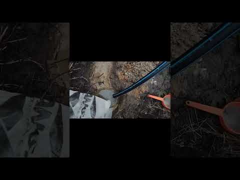 Видео: 20 октомври 2025 г.