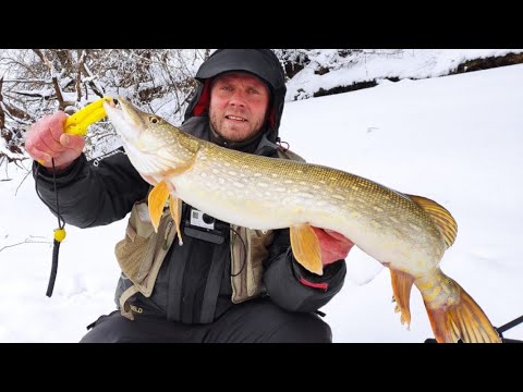 Видео: Москва река, ЗИМНИЙ СПИННИНГ! Рыбалка на спиннинг в МОРОЗЫ! Глухозимье но поймать можно!