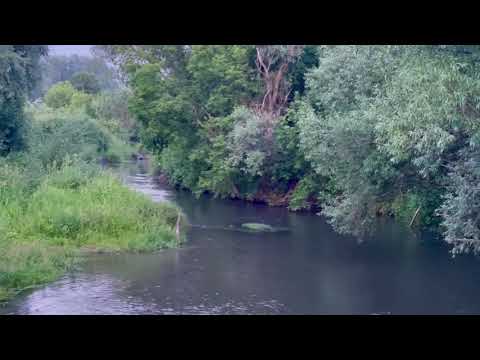 Видео: Природа Оренбургская область, деревня, лето 2022г. Nature Orenburg region, village summer....