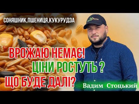 Видео: Що буде з цінами на врожай? Та як посіяти гарбуз,а виростити кавун ?😱