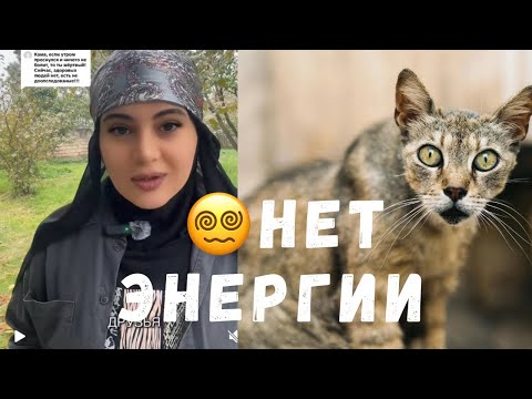 Видео: 😓ПОСТОЯННАЯ УСТАЛОСТЬ В ТЕЛЕ 😴👇🏼🌱ПЕЙТЕ ЭТУ НАСТОЙКУ🌱