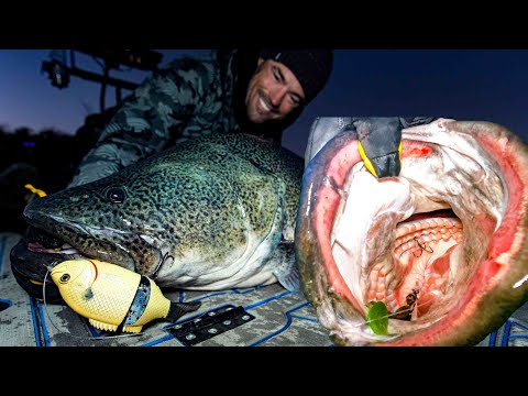 Видео: Приманки Murray Cod, большие приманки для ловли рыбы в течение дня и мягкие пластиковые приманки ...