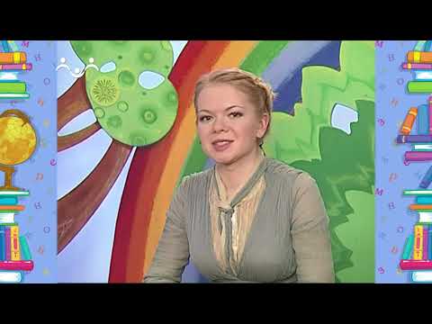 Видео: Школа Шишкиного Леса. Русский язык. Слоги-1