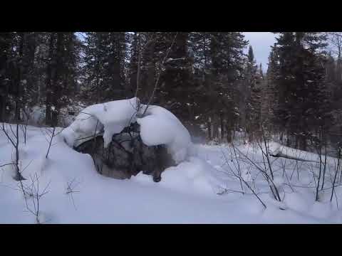 Видео: Северный Шурчак. Есть смысл