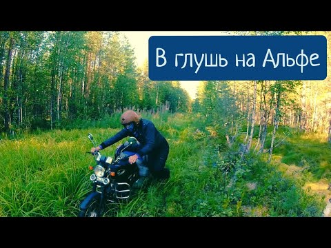 Видео: Мопед Альфа завез в глушь на озеро Вадпутук. a remote lake in Russia. a secret lake in Russia.