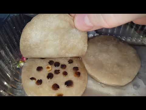 Видео: сеем мальву на рассаду,способ второй.А так же результаты посева других цветов на рассаду.