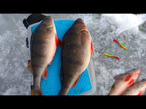 Видео: НАШЕЛ КОРЯЖКУ, А ТАМ! ПОЛУКИЛОГРАММОВЫЙ ОКУНЬ НА БАЛАНСИР! Рыбалка по ОПАСНОМУ последнему льду!