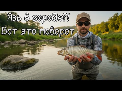 Видео: Спиннинг Azura Olivia: как я поймал голавля и язя на Лабе