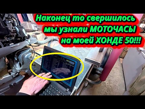 Видео: Диагностика лодочного мотора Honda 50: Сколько моточасов за 12 лет???