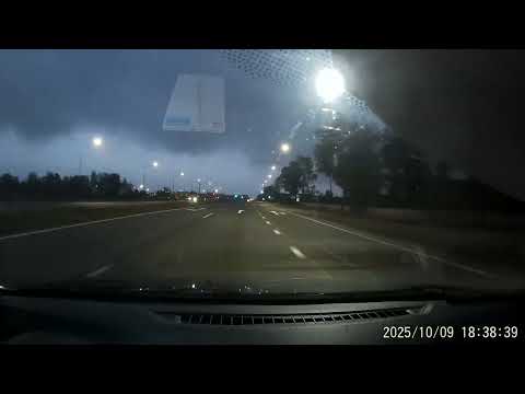 Видео: Аисты пешком переходят проезжую часть.