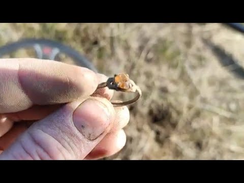 Видео: Поиск монет с XP Deus1 монетки колечко поиск монет . (Архив ранняя весна).