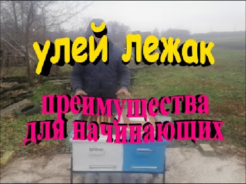 Видео: Улей лежак преимущества для начинающих пчеловодов